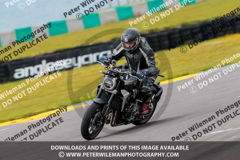 PJ Motorsport 2019;anglesey no limits trackday;anglesey photographs;anglesey trackday photographs;enduro digital images;event digital images;eventdigitalimages;no limits trackdays;peter wileman photography;racing digital images;trac mon;trackday digital images;trackday photos;ty croes